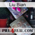 Liu Bian 38